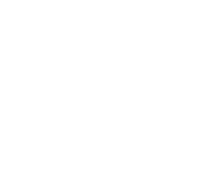 UBP 51. Yıl